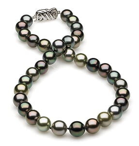 10.07x10.56mm Multicolor Tahitian Necklace