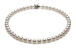 8 x 9mm White High Grade Freshwater Pearl Necklace