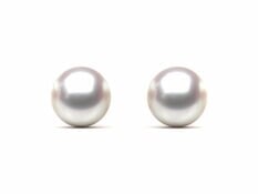 Pearl Earring 6mm AAA Quality Japanese Akoya Cultured Pearl Stud Earrings
