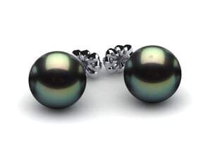 9mm Tahitian Cultured Pearl Earring Studs
