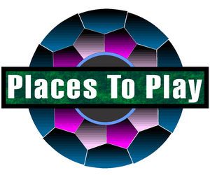 Places to Play Table Shuffleboard