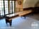 20' Hudson Intimidator Shuffleboard Table